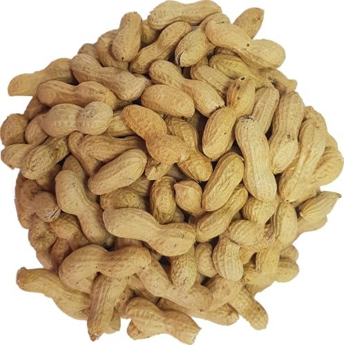 Premium Monkey Nuts for Wild Birds and Squirrels by Britten and James