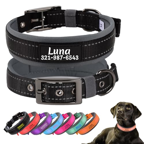 Personalisiertes Hundehalsband mit Haustiernamen und Telefonnummer, weiche Neopren-Polsterung, Robustes Hundehalsband, geeignet für kleine, mittlere und große Hunde, Schwarz