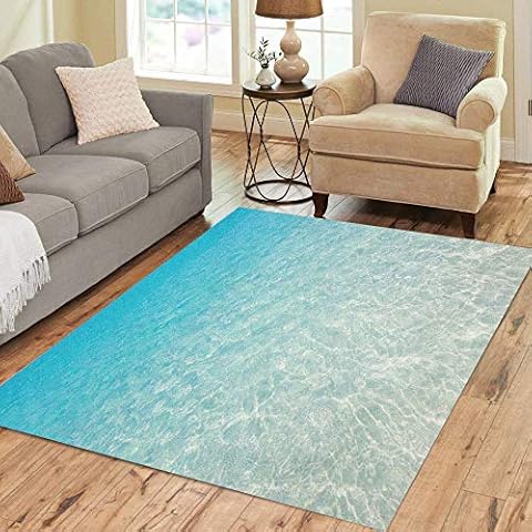 Pinbeam Area Rug Blue Clear Tropical Beach Water Ocean Calm Caribbean Home Decor Floor Rug 3' x 5' Carpet Cover