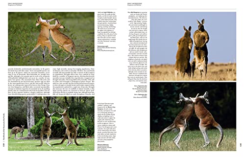 Handbook of the Mammals of the World - Volume 5: Monotremes and Marsupials (Handbook of Mammals of the World) - Image 10