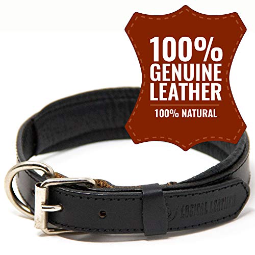 Logical Leather Padded Dog Collar - Best Full Grain Heavy Duty Genuine Leather Collar - Black - Medium #TOP3