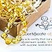 Amber Guru Baltic Amber Necklace (Authentic, Certified) - 12.5 inches - Unisex Jewelry - Polished Real Amber Beads - Proud to Deliver Genuine Baltic Sea Wonder Handmade (Lemon)
