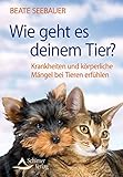  Wie geht es deinem Tier?: Krankheiten und körperliche Mängel bei Tieren erfühlen