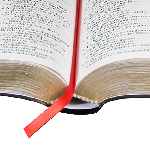 Bíblia Sagrada ARA Letra Gigante: Almeida Revista e Atualizada (ARA)