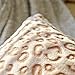 FY FIBER HOUSE Leopard Print Pillow Cover Flannel Fleece Throw Pillow Cases Covers for Couch Bed Sofa Set of 2, 18 x 18 Inch, Brown