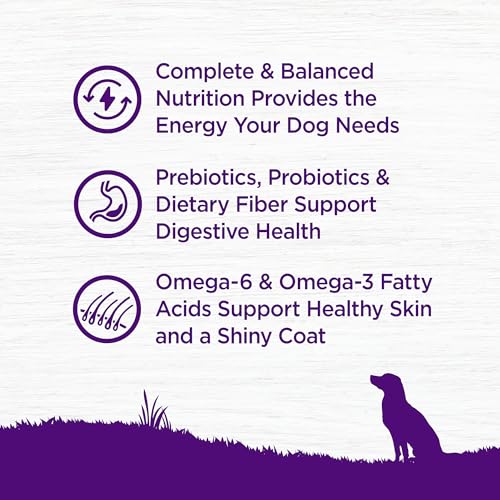 Wellness Complete Health Dry Dog Food with Grains, Made in USA with Real Meat & Natural Ingredients, All Breeds, Adult Dogs (Chicken & Oatmeal, 30-lb) – With Nutrients for Immune, Skin, & Coat Support - Image 5
