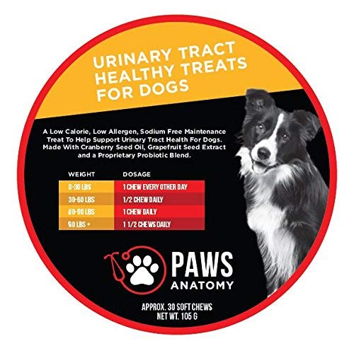 Paws Anatomy Urinary Tract Cranberry Treats for Dogs, Prevent UTIs, Dog Incontinence | Healthy Supplements to Prevent & Treat Dog Urinary Tract Infections | 30 Count - Soft Chews. Up to 60 Servings