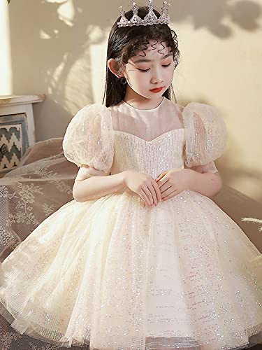 Princess Girls Pageant Tutu Fluffy Dress Bling Sequin Puff Short Sleeve Flower Girl Ball Gown3