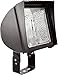 RAB Lighting FX100T Flexflood 100W HPS 120V HPF Trunnion and Lamp, Bronze