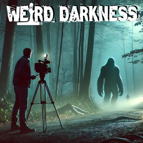The TV Reporter Who Got The Strangest Bigfoot Footage Ever