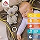 Fehn Spieluhr Baby Einschlafhilfe Koala - Kuscheltier mit sanfter Einschlafhilfe Melodie Mozarts Wiegenlied - Babyspielzeug für Unterwegs und Zuhause - Musikspielzeug für Babys und Kleinkinder