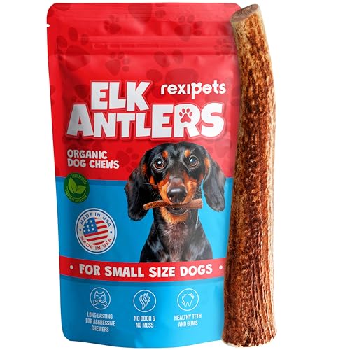 Devil Dog Pet Co. Elk Antlers for Dogs, Beast 10
