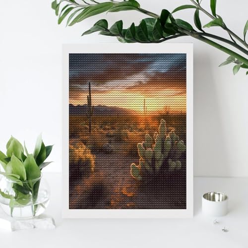 Kits de arte de diamantes FekiLoot de cactus y desierto para adultos principiantes 4