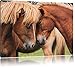 Produktbild zwei schmusende Pferde, Format: 120x80 auf Leinwand, XXL riesige Bilder fertig gerahmt mit Keilrahmen, Kunstdruck auf Wandbild mit Rahmen, günstiger als Gemälde oder Ölbild, kein Poster oder Plakat