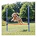 Trixie 3207 Dog Activity Agility Hürde, 123 × 115 × ø 3 cm, blau/orange