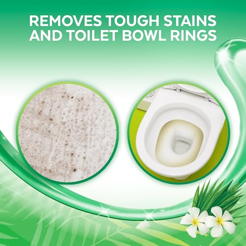 Image of Lysol Toilet Bowl Cleaner Gel, For Cleaning and Disinfecting, Stain Removal, Forest Rain Scent, 24oz (Pack of 2)