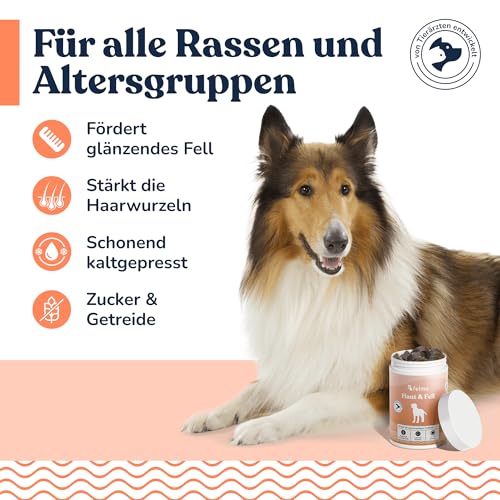 felmo Haut- & Fell-Snacks für Hunde – Für gesunde Haut & glänzendes Fell mit Lachsöl, Omega-3-Fettsäuren, Bierhefe & Biotin – getreidefrei & zuckerfrei, pflegt Krallen & Hautbarriere, 70 Snacks