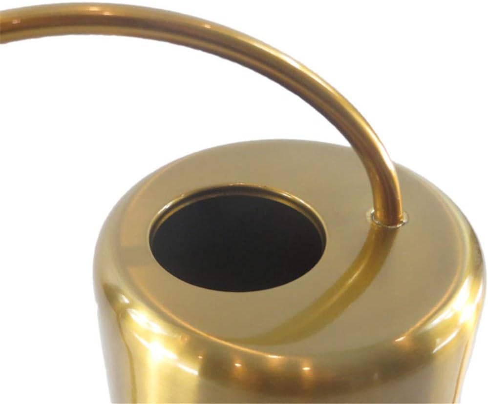 Watering Cans Watering Can Pot Indoor House Plants Long Spout Watering Can Modern Style Watering Pot 2 L for Small Office Plants Indoor Watering Can (Color, Size : Free)