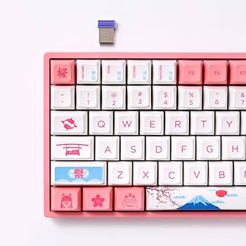 Amazon.com: Akko World Tour Tokyo 75% Hot-swappable