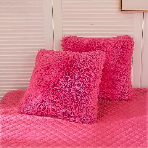 LIFEREVO Fluffy Faux Fur Throw Pillow Covers Pack of 2, Hot Pink