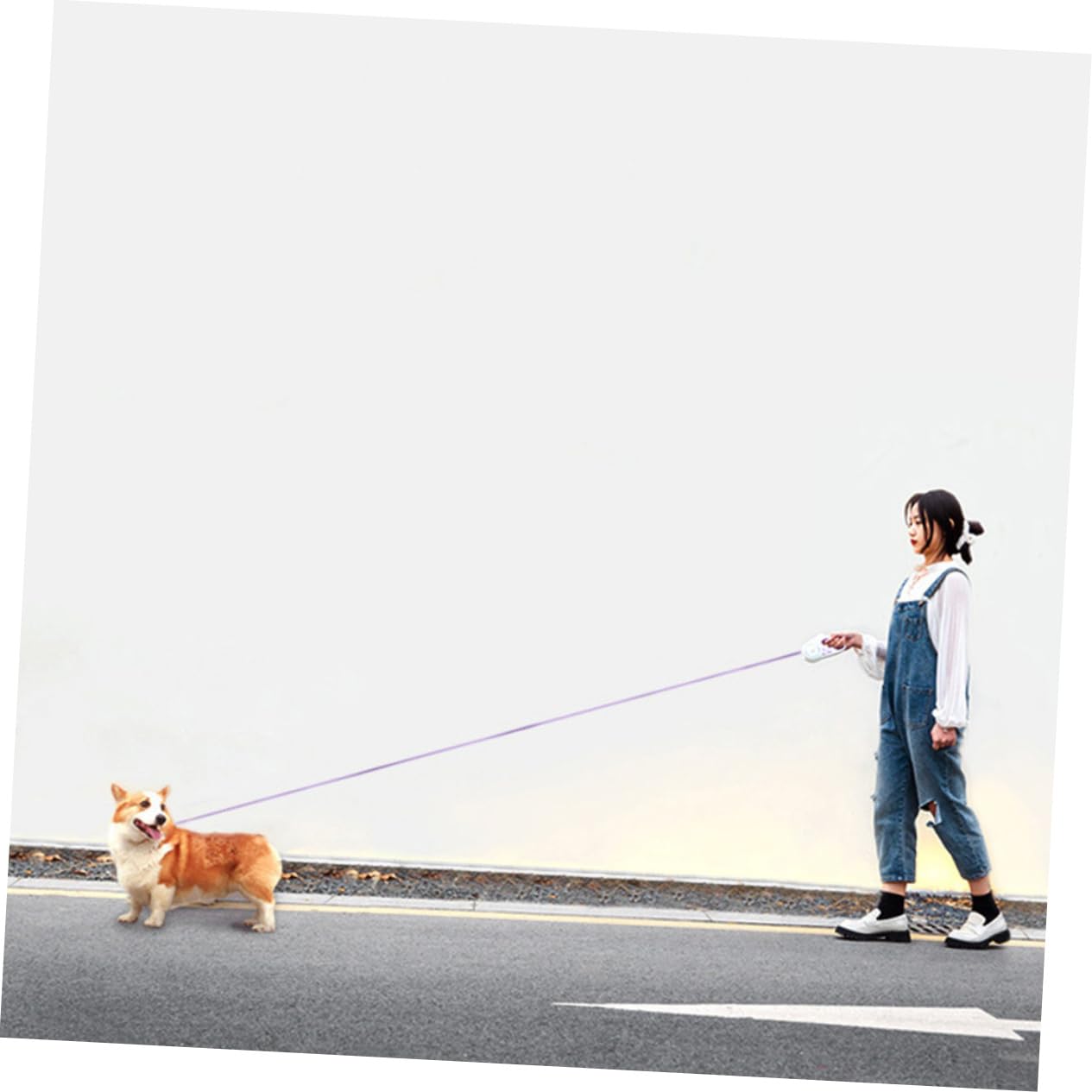 Guinzaglio Retrattile e Telescopica Portatile Per Addestramento e Jogging Resistente e Maneggevole