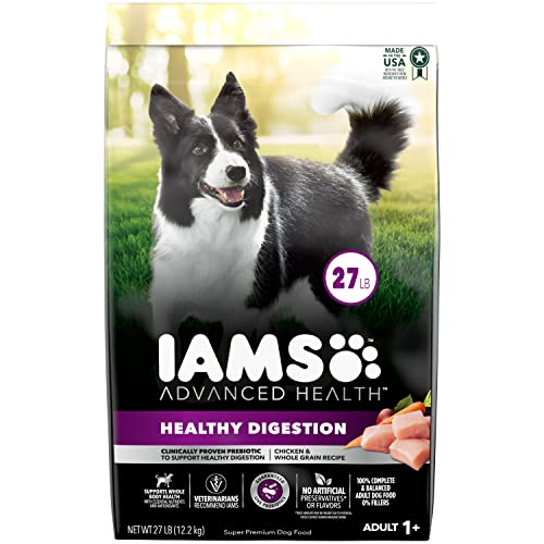 10 Best Sensitive Digestion Dog Foods Feed Your Furry Friend with Ease