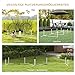 PawHut Agility Set Hunde 4-teiliges Agility-Ausrüstung für Hundetraining Steckhürdenset mit Slalomstangen Tragetasche Trainingszubehör Koordinationstraining Agilityset für Spiele Training