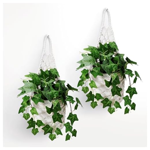 Shineloha 2PK Wall Planters for Indoor Plants, Macrame Plant Hanger | Wall Planter, Plant Hanger, Hanging Planter (2PK, for 6 inch Pot)