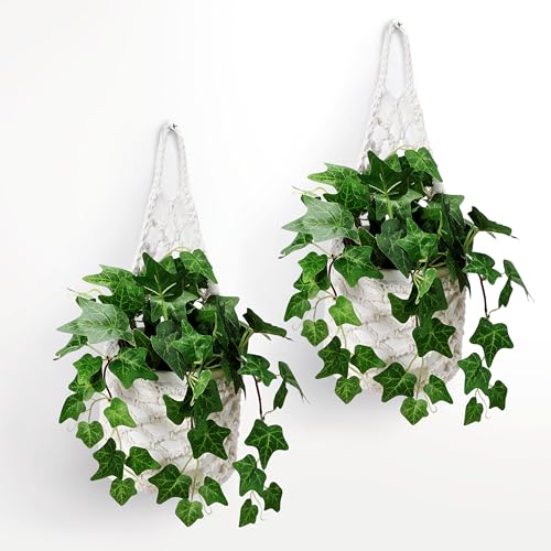 2PK Wall Planters for Indoor Plants, Macrame Plant Hanger | Wall ...
