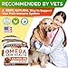 STRELLALAB Omega 3 for Dogs - (360Ct) Fish Oil Treats - Allergy & Itch Relief Skin & Coat Supplement - Dry Itchy Skin, Anti Shedding & Hot Spots Treatment - Pet Salmon Oil Chews - Smoked Salmon