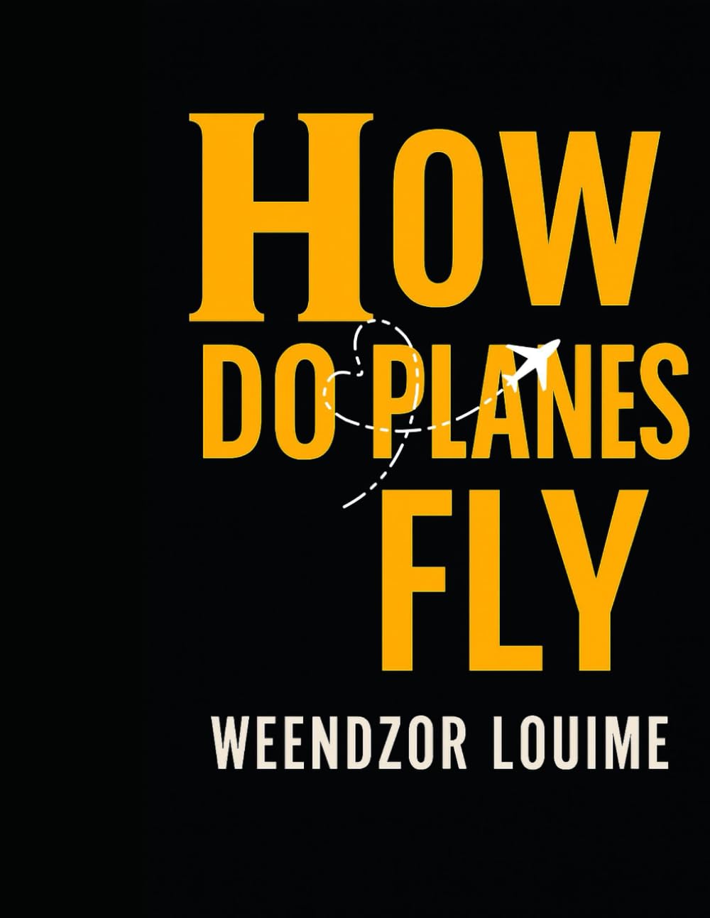 How do planes fly? (How do things work)