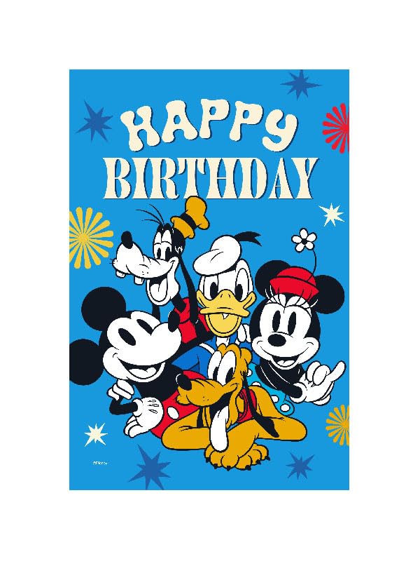 Amazon.com : Flagology, Disney Happy Birthday Gang – Garden Flag
