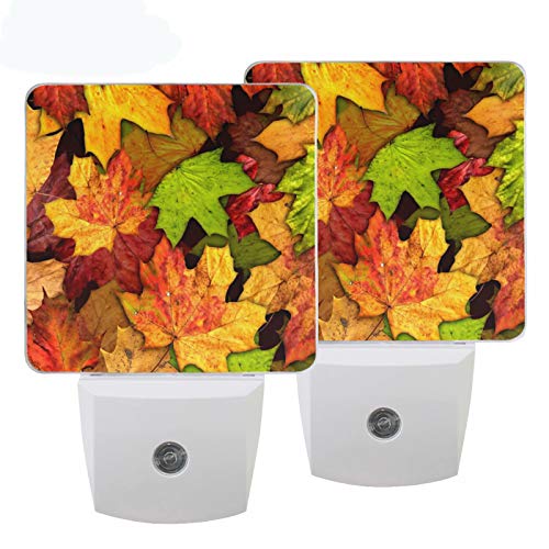 Pfrewn Autumn Colorful Maple Leaf Night Light plug in Set of 2 for Kids Adults Boys Girls Babies,Ret - //coolthings.us