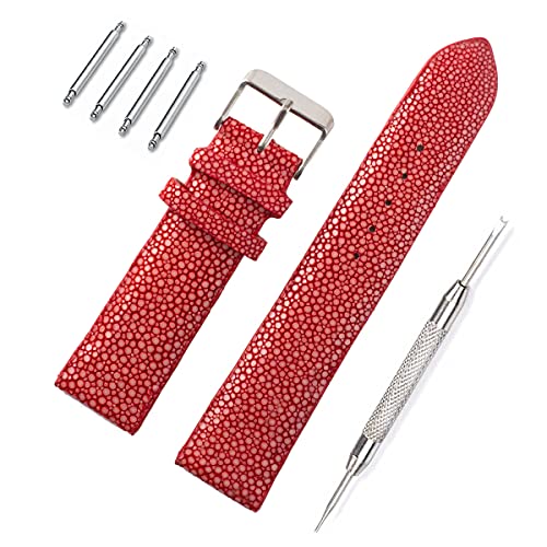 [Fb^] GCv K[V XeBOC rv oh xg bh  18mm ol_ ol_Ot [089-5stb18-1]