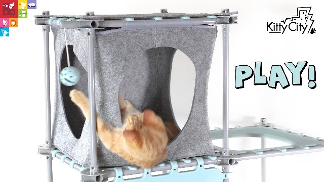 Mother Cat ラプレＬ＆オプション Amazon.com : Kitty City Claw Mega Kit 2.0 Furniture, Cat