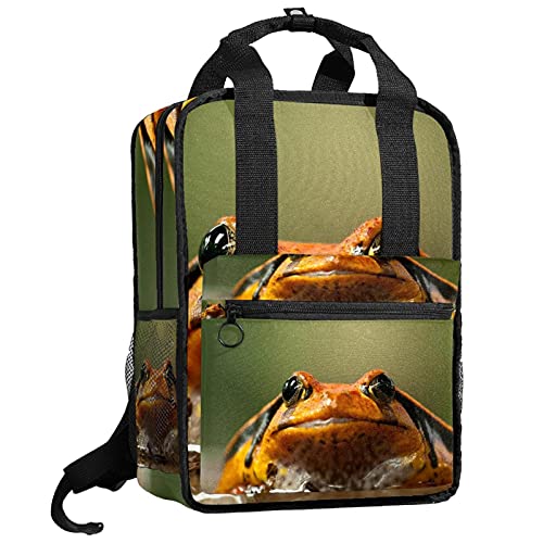 Backpacks Bookbags Backpack ugly red frog picture