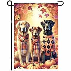 Dogs Plaid Coats Autumn Leaves
