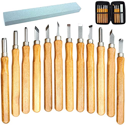 14 Piece Wood Carving Tools Set with Whetstone and Protective Case, Chisels, Gouges, Scrapers, V Parting, Relief Tools for Wood Blocks, Basswood, Softwoods, Beginners, Projects