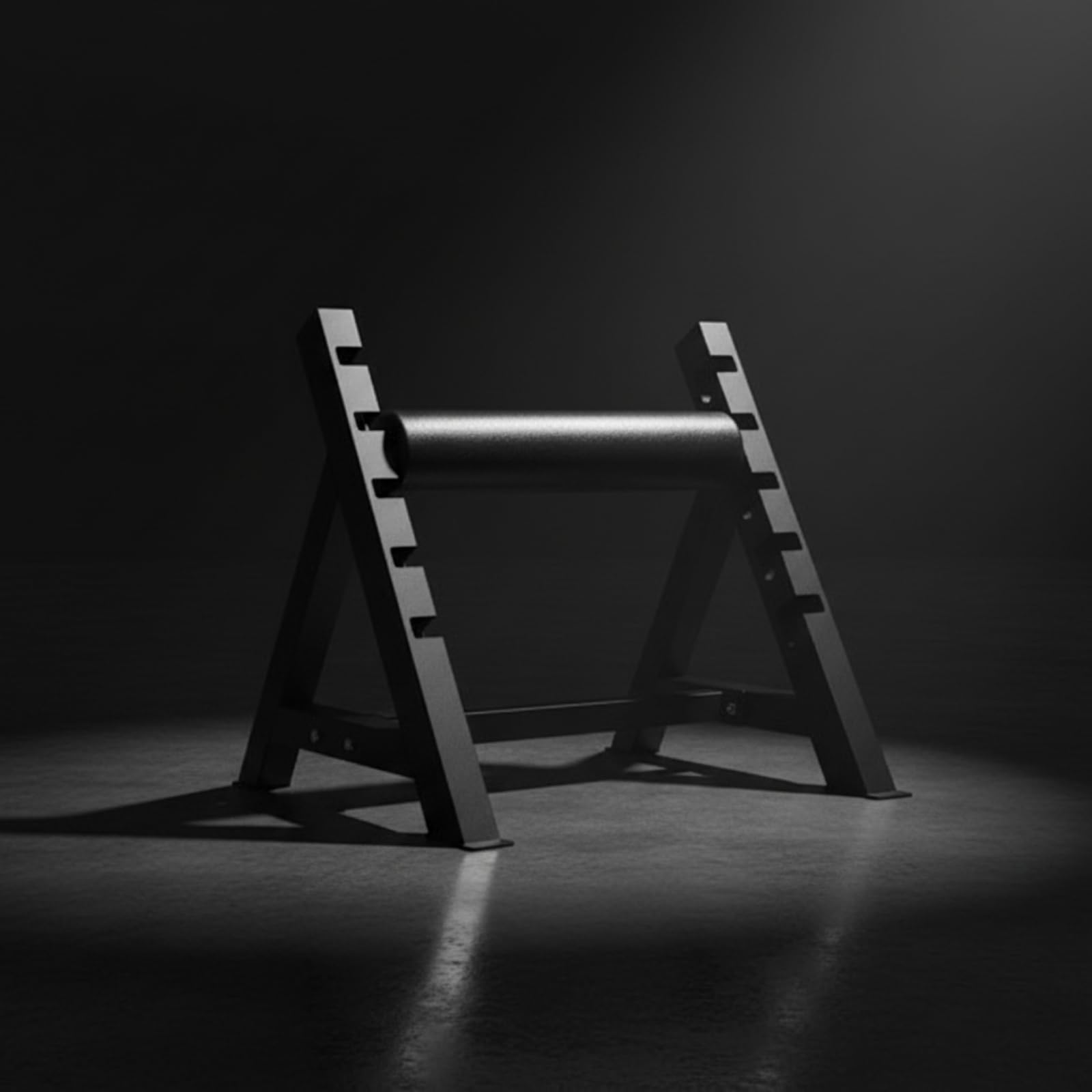 Split Squat Rack Stazione Squat Diviso
