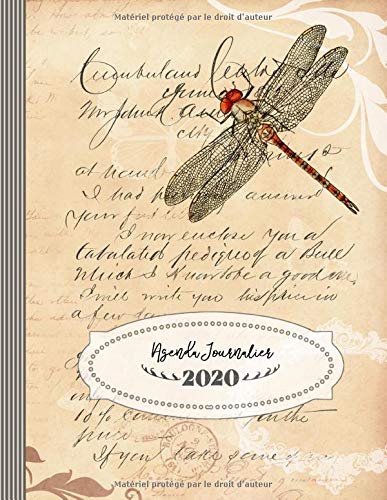 Télécharger Agenda Journalier 2020: Grand Semainier et Calendrier Janvier à Decembre avec To Do List + 45 Pages Gratuit