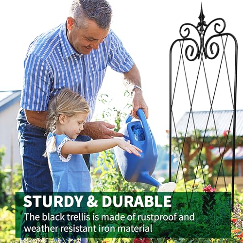 SCENDOR-2-Pack-71-H-x15-W-TrellisBlack-Garden-Trellis-for-Climbing-Plants-Outdoor-Metal-Frame-Sturdy-Trellis-for-Rose SCENDOR 2 Pack 71 H x15 W TrellisBlack Garden Trellis for Climbing Plants Outdoor Metal Frame Sturdy Trellis for Rose