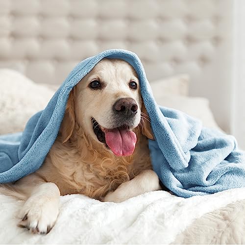 Image of BEDELITE Fleece Blanket Twin Size Washed Blue Throw Blankets for Couch & Bed, 300GSM Luxury Plush Cozy Fuzzy Blanket 60x80 inches, Super Soft Warm Lightweight Throw Blanket for Travel Camping