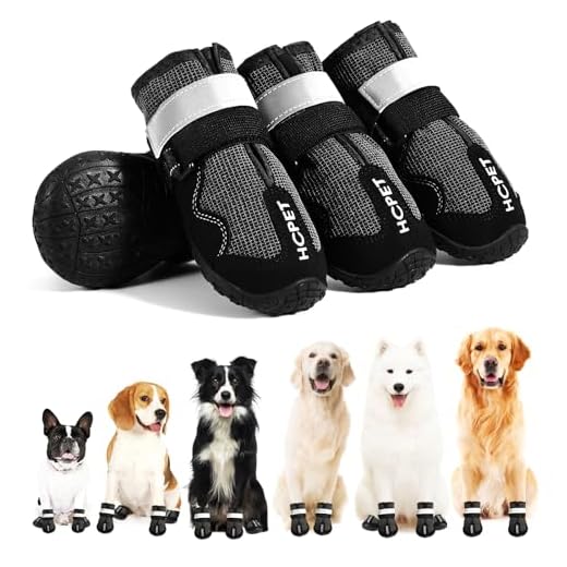 Hcpet Dog Shoes, Dog Boots for Large Dogs, Waterproof Dog Booties Paw Protector for Summer Hot Pavement, Winter Snowy Day, Outdoor Walking, Indoor Hardfloors Anti Slip Sole Black Size 6