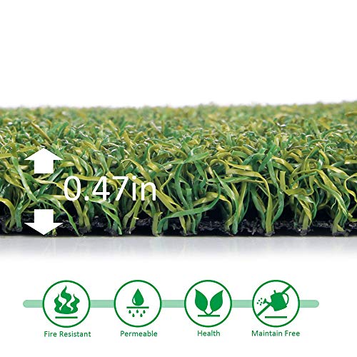 Petgrow Pro 6FTX10FT Putting Green