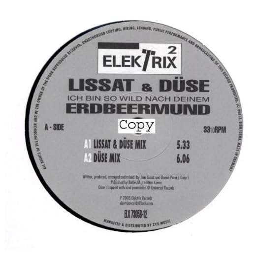 Ich Bin So Wild Nach Deinem [Vinilo]