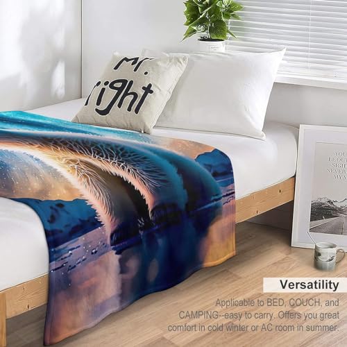 Couvertures en ours polaire plaid flanelle super douce lit - 7