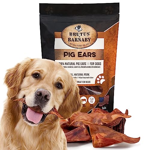 Amazon Best Sellers Best Pig Ear Dog Treats