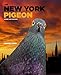 The New York Pigeon