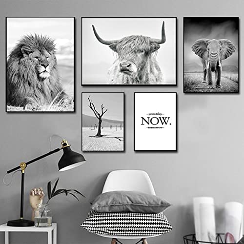 2 Pieces Highland Cow Canvas Posters Prints Black And White Longhorn Steer Animal Portrait Wall Art For Living Room Office Bedroom Decor (Unframed,16X20 Inches) #TOP3