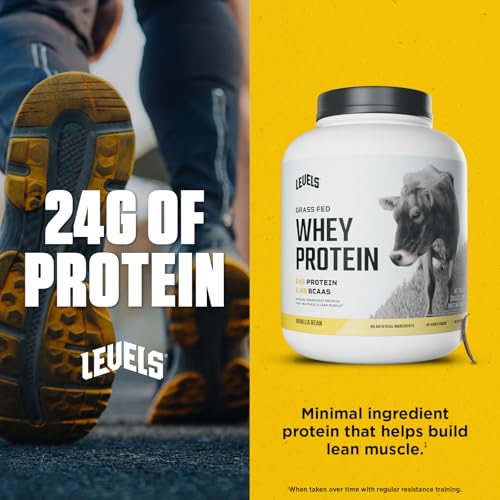 Best Protein Powder to Mix with Water (2026): Top-Rated Picks That Actually Dissolve 13 Levels Grass Fed Whey Protein Powder, No Artificials, 24G of Protein, Vanilla Bean, 5LB